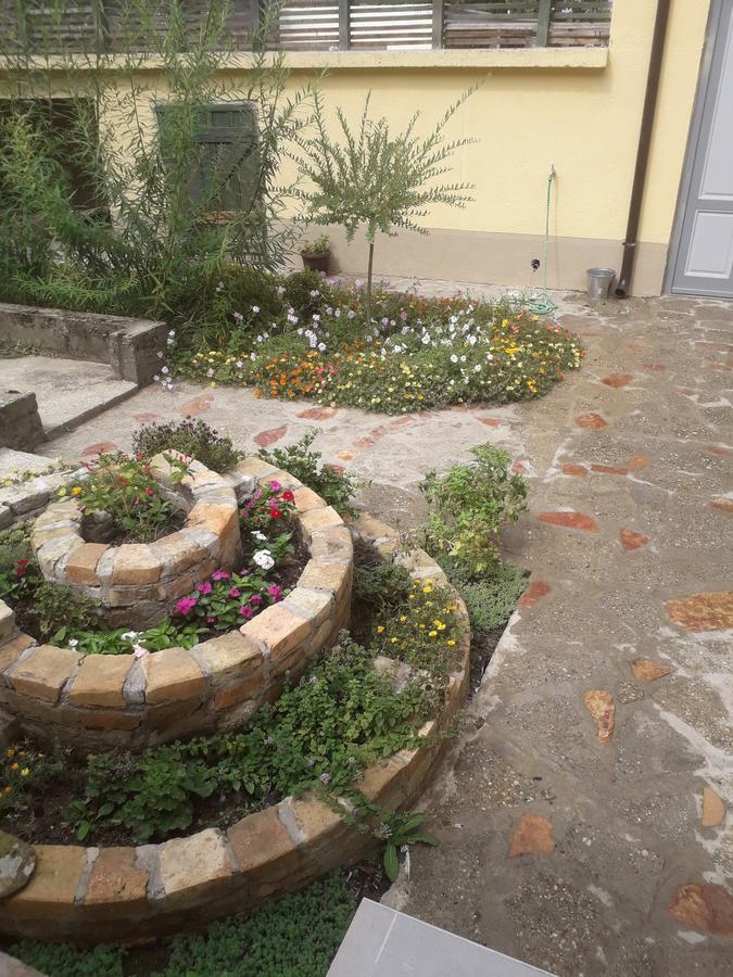 ベオグラードMosaique Casaアパートメント エクステリア 写真